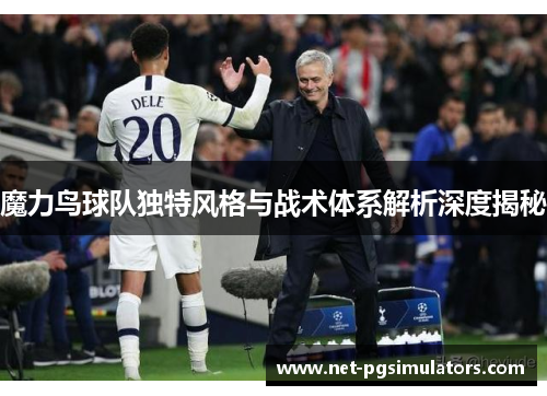 魔力鸟球队独特风格与战术体系解析深度揭秘 魔力鸟球队独特风格与战术体系解析深度揭秘