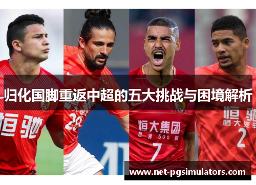 归化国脚重返中超的五大挑战与困境解析